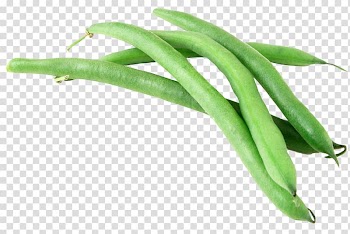 Vegetarian cuisine Baked beans French cuisine Green bean, vegetable transparent background PNG clipart