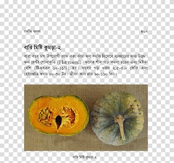 Vegetarian cuisine Calabaza Pumpkin Winter squash Cucurbita, pumpkin transparent background PNG clipart
