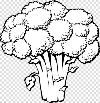 Vegetarian cuisine Coloring book Broccoli Vegetable Thai cuisine, broccoli,vegetables,plant transparent background PNG clipart