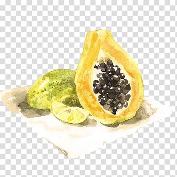 Vegetarian cuisine Muskmelon Fruit, Melon fruit color material transparent background PNG clipart