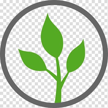 Vegetarian cuisine Natural environment Vegetable, natural environment transparent background PNG clipart