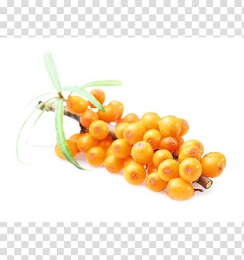 Vegetarian cuisine Natural foods Vegetable Superfood, vegetable transparent background PNG clipart