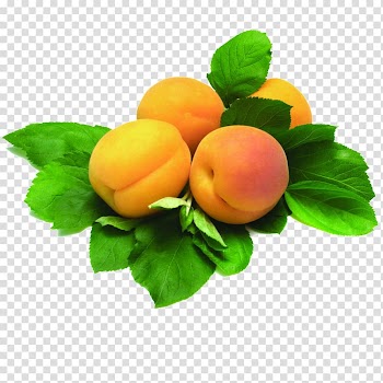 Vegetarian cuisine online taxi Yerevan City Peach Supermarket, Fruit apricot transparent background PNG clipart
