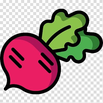 Vegetarian cuisine Organic food Vegetable Turnip, vegetable transparent background PNG clipart
