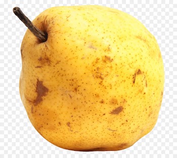 Vegetarian cuisine Portable Network Graphics Pear Clip art Image - pear 