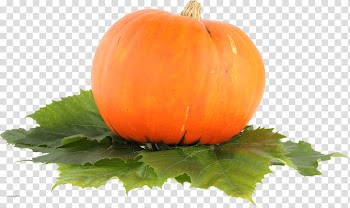 Vegetarian cuisine Pumpkin pie Pumpkin bread, pumpkin transparent background PNG clipart