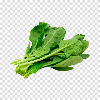 Vegetarian cuisine Spanakopita Omelette Spinach Arugula, vegetable transparent background PNG clipart