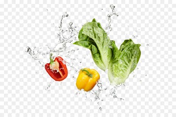 Vegetarian cuisine Vegetable Stock photography Chili pepper - fresh vegetables 