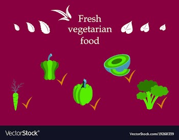 Vegetarian menu for cafe and restaurants vegan vector image