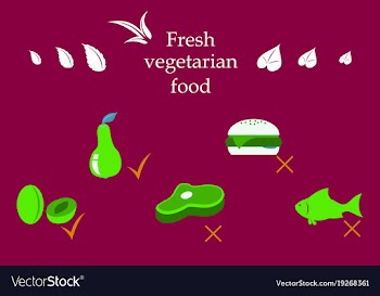 Vegetarian menu for cafe and restaurants vegan vector image
