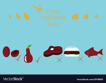 Vegetarian menu for cafe and restaurants vegan vector image