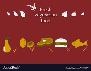 Vegetarian menu for cafe and restaurants vegan vector image