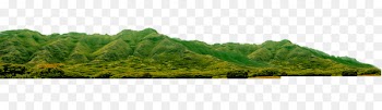 Vegetation Landscaping Land lot Grasses Ecosystem - Green mountains 