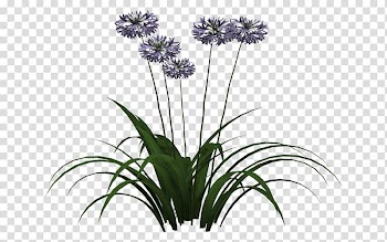 Vegetation Rendering, Bugs in garden transparent background PNG clipart
