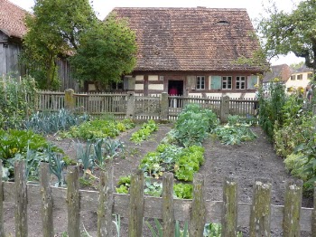 veggie_garden2.JPG