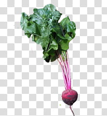 Veggies, green and red vegetable transparent background PNG clipart