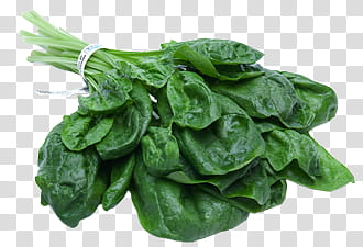 Veggies, green vegetables transparent background PNG clipart