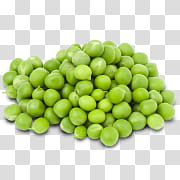 Veggies, round green fruits transparent background PNG clipart