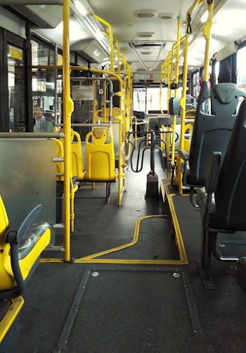 Vehicle Interior