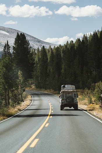 Vehicle On Road Between Pine Trees 