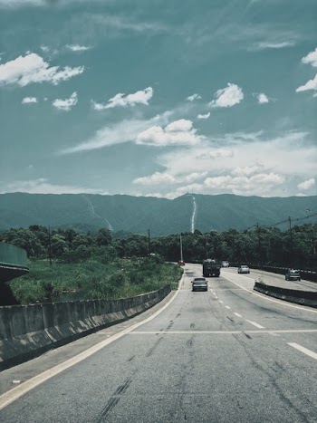 Vehicles on a Road Through the Forest