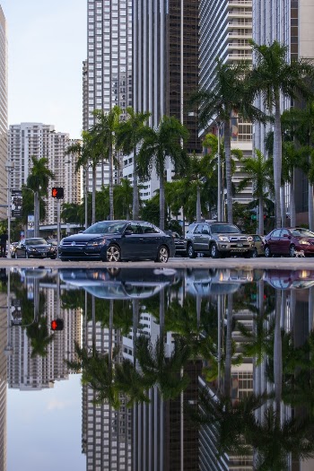 Vehicles Parked