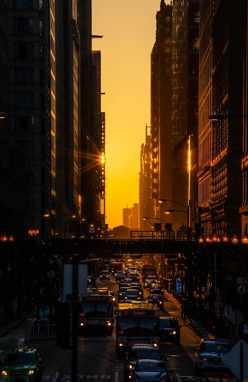Vehicles Passing on Road Between High-rise Building
