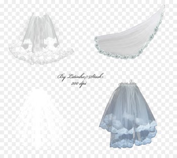 Veil Bride Brautschleier Wedding dress Tulle - bride 