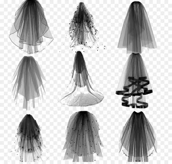 Veil Bride Contemporary Western wedding dress - Brush wedding veil 
