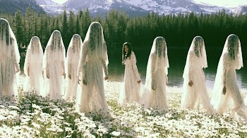 Veiled Women in Lace Dresses Amidst Daisies