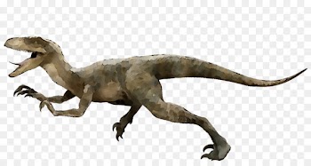 Velociraptor Deinonychus Utahraptor Achillobator Tyrannosaurus -  