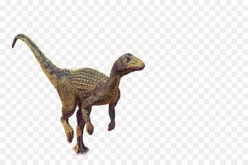 Velociraptor Photography Instagram - Dino PNG 
