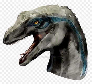 Velociraptor Tyrannosaurus Jaw Beak -  