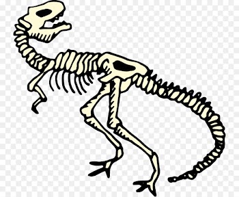 Velociraptor, Tyrannosaurus, Reptile, Terrestrial Animal, Dinosaur PNG