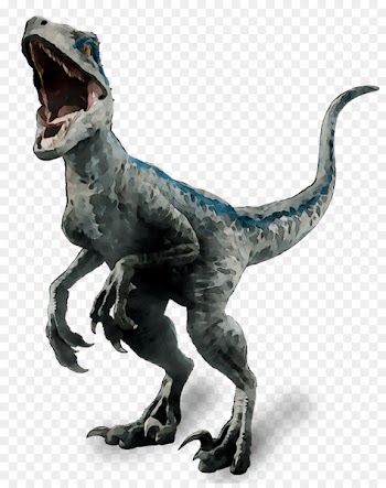 Velociraptor Tyrannosaurus Terrestrial animal -  
