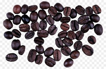 velvet bean bean food plant seed
