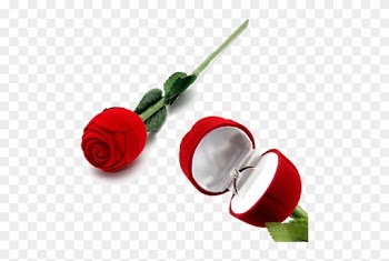 Velvet Red Rose Jewellery Ring Box /ring Holder Best - Rose Box For Ring