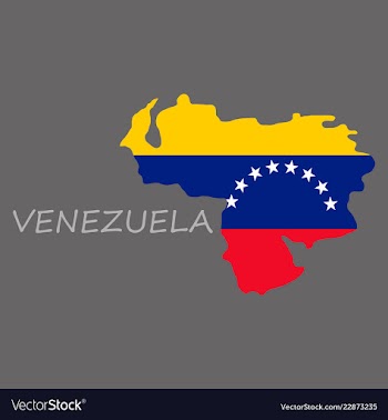 Venezuela map national flag icon vector image