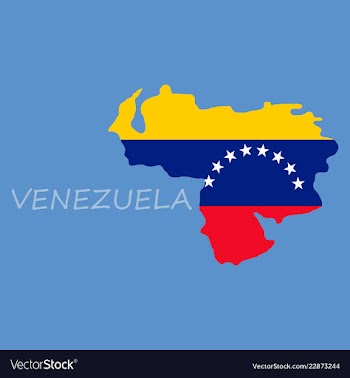 Venezuela map national flag icon vector image