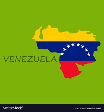 Venezuela map national flag icon vector image