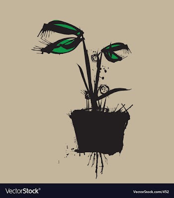 Venus fly trap vector image
