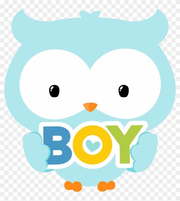 Ver Todas Las Imágenes De La Carpeta Png - Baby Owl Cartoon Boy