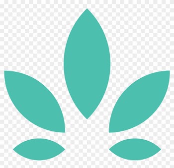 Veriheal Blog - Medical Marijuana Card