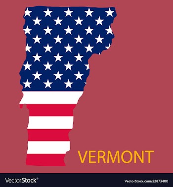 Vermont state of america with map flag print on vector image