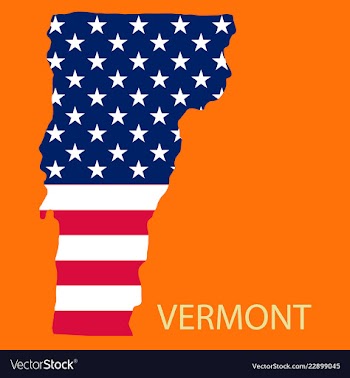 Vermont state of america with map flag print on vector image