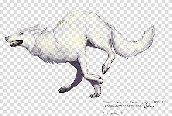 Version wolf base, white animal illustration transparent background PNG clipart
