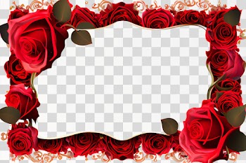 Vertical Rose frame PNG transparent background with copy space