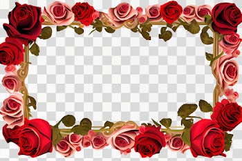 Vertical Rose frame PNG transparent background with copy space