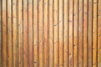 Vertical Wood Texture