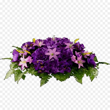 Vervain Annual plant Floral design Primrose -  